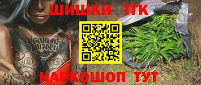 сатива Новокубанск