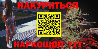 сатива Новокубанск